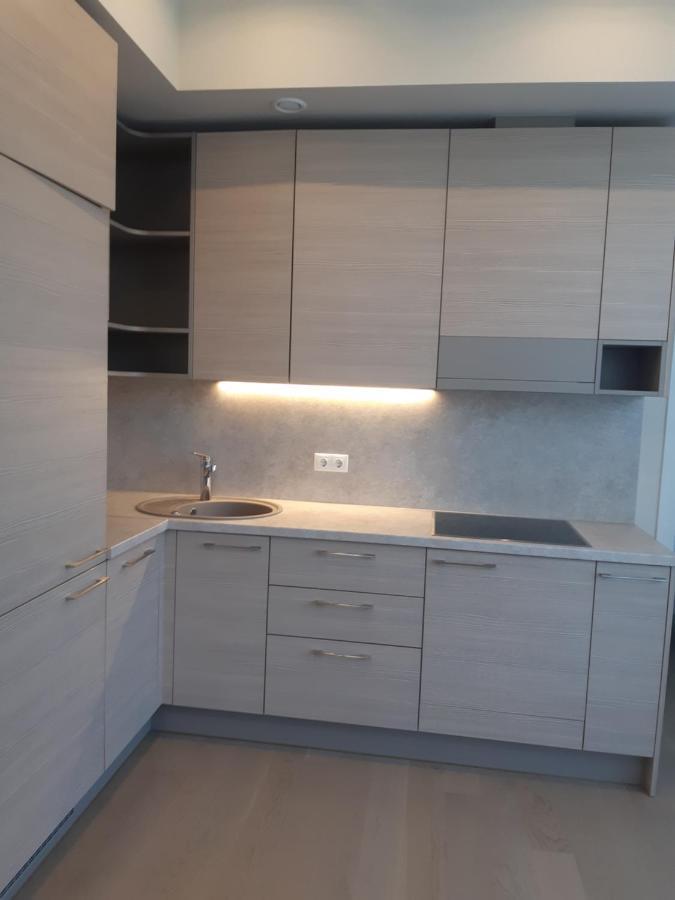 Apartment In Druskininkai City Centre Esterno foto