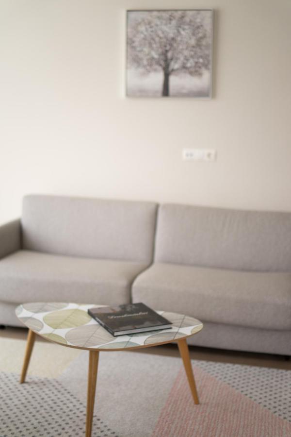 Apartment In Druskininkai City Centre Esterno foto