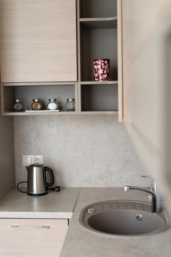 Apartment In Druskininkai City Centre Esterno foto